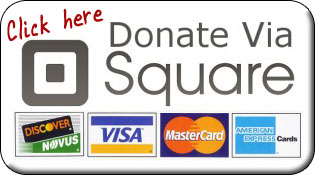 donate with square